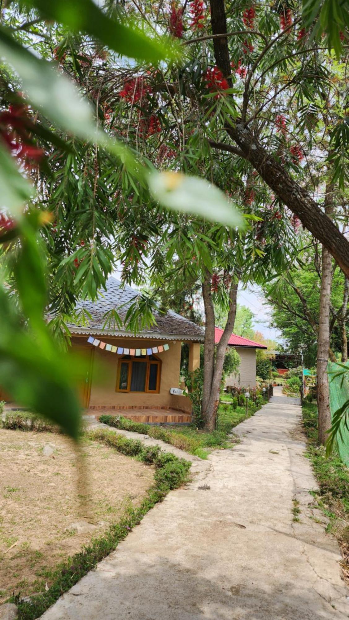 Namlang Resort Bir  Luaran gambar